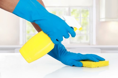 Carpet cleaning technician preparing equipment for a professional service