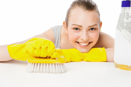 Pet-friendly steam carpet cleaning in Harold Hill
