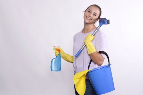 Deep carpet cleaning for pet stains and odours in Harold Hill
